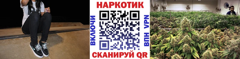 Купить закладку Альфа ПВП  МЕФ  Гашиш  КОКАИН  Нарьян-Мар