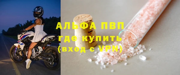 прущие грибы Вяземский