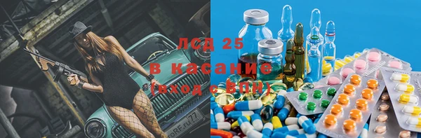 прущие грибы Вяземский