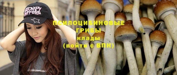прущие грибы Вяземский
