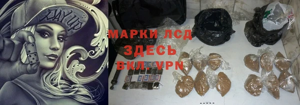 прущие грибы Вяземский